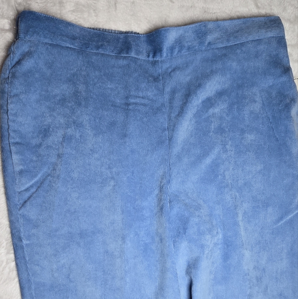 Alfred Dunner Womens Pants Powder Blue Corduroy Classic Fit Pull On Size 8P - Picture 12 of 16